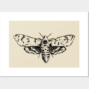 Death's-Head Hawkmoth in Black Illustration Posters and Art